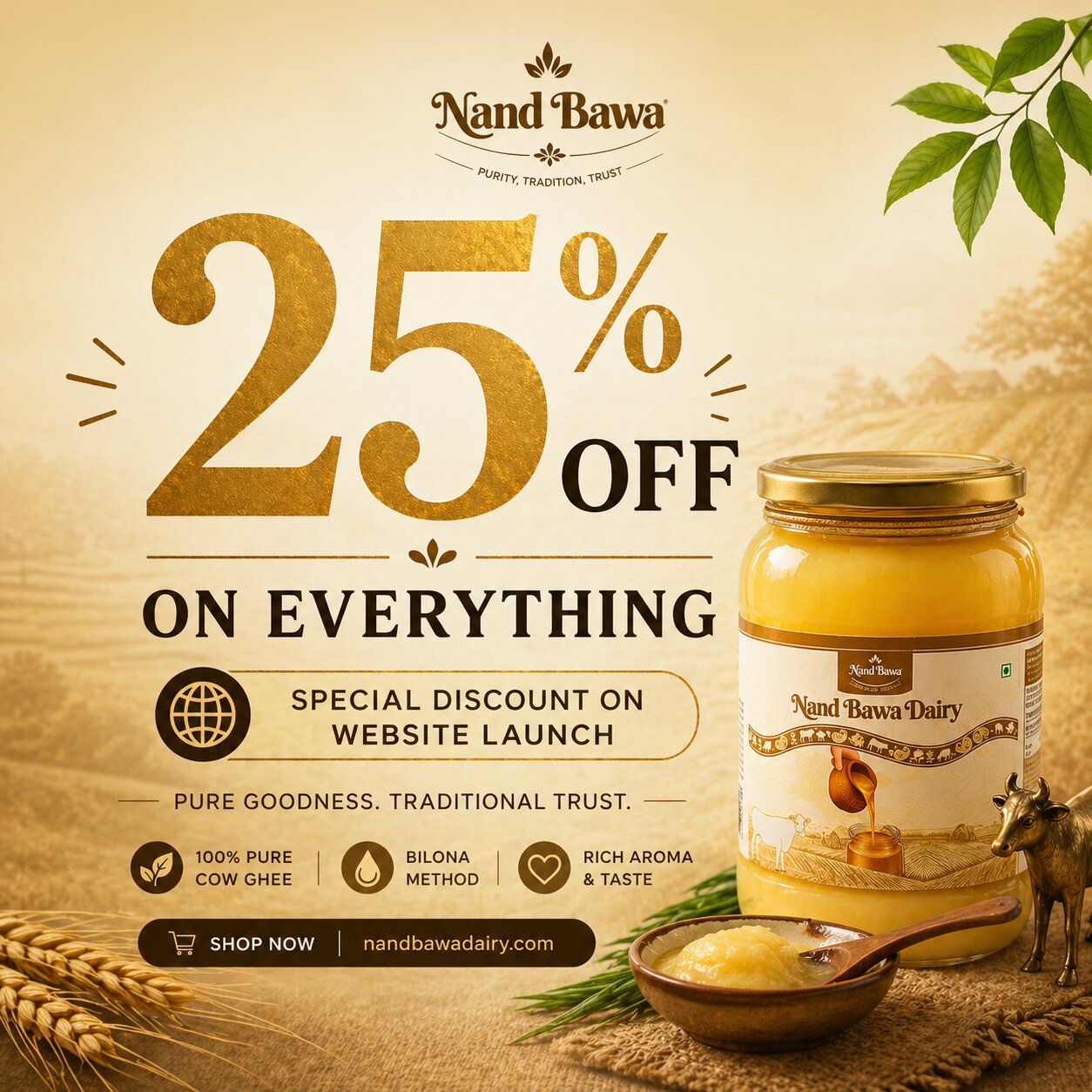 25% OFF Website Launch Offer